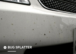 Bug Splatter Before Protektiv Hyrdo Solution